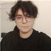 insegnante di letteratura italiana, storia e materie umanistiche